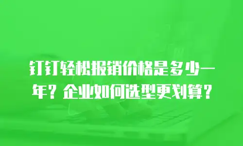 钉钉轻松报销价格是多少一年？企业如何选型更划算？
