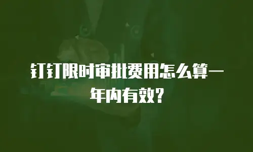 钉钉限时审批费用怎么算一年内有效？