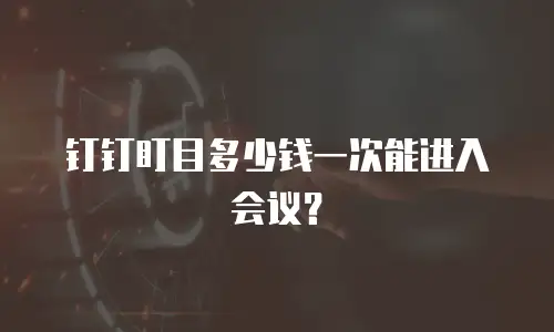 钉钉盯目多少钱一次能进入会议？