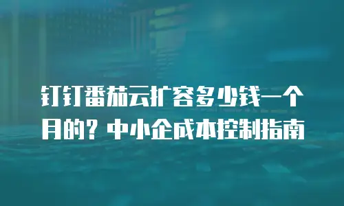 钉钉番茄云扩容多少钱一个月的？中小企成本控制指南