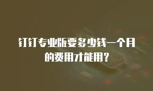 钉钉专业版要多少钱一个月的费用才能用？