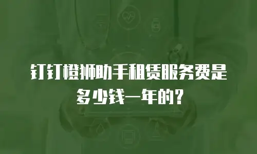 钉钉橙狮助手租赁服务费是多少钱一年的？
