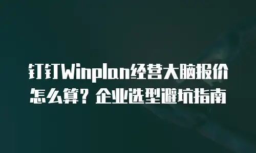 钉钉Winplan经营大脑报价怎么算？企业选型避坑指南