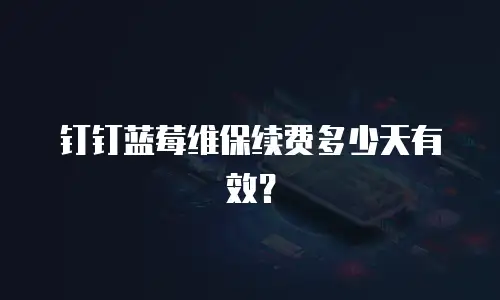 钉钉蓝莓维保续费多少天有效？