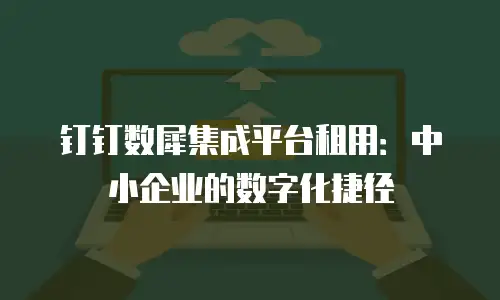 钉钉数犀集成平台租用：中小企业的数字化捷径
