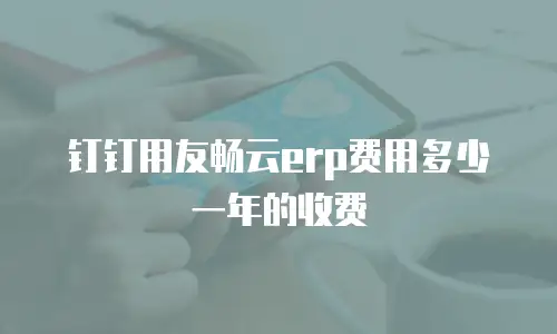 钉钉用友畅云erp费用多少一年的收费