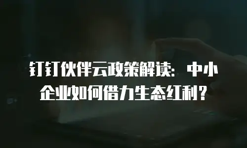 钉钉伙伴云政策解读：中小企业如何借力生态红利？