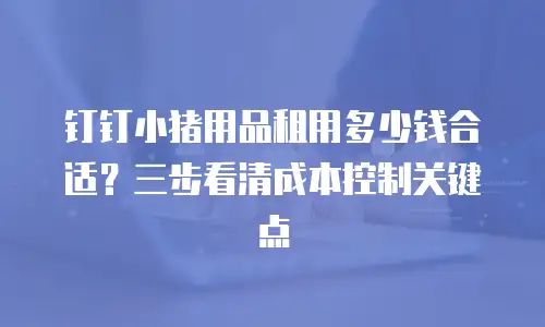 钉钉小猪用品租用多少钱合适？三步看清成本控制关键点