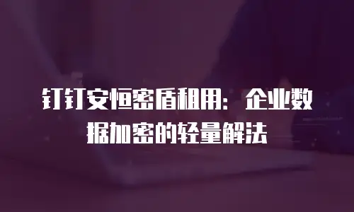 钉钉安恒密盾租用：企业数据加密的轻量解法