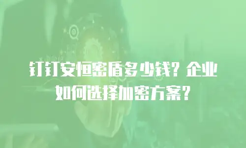 钉钉安恒密盾多少钱？企业如何选择加密方案？