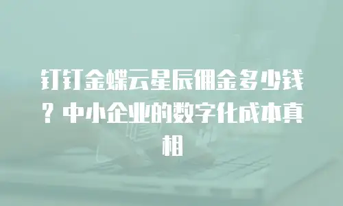 钉钉金蝶云星辰佣金多少钱？中小企业的数字化成本真相