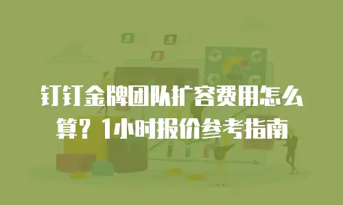 钉钉金牌团队扩容费用怎么算？1小时报价参考指南