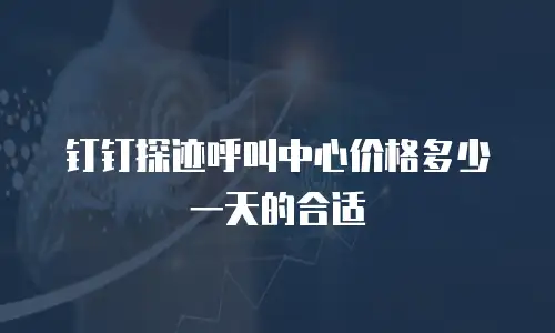 钉钉探迹呼叫中心价格多少一天的合适