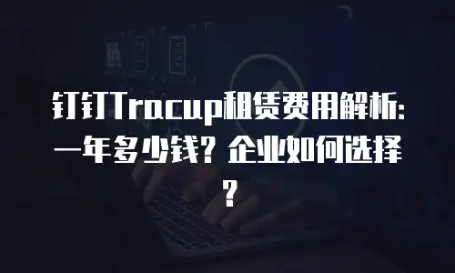 钉钉Tracup租赁费用解析：一年多少钱？企业如何选择？