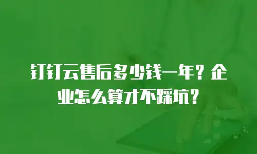 钉钉云售后多少钱一年？企业怎么算才不踩坑？