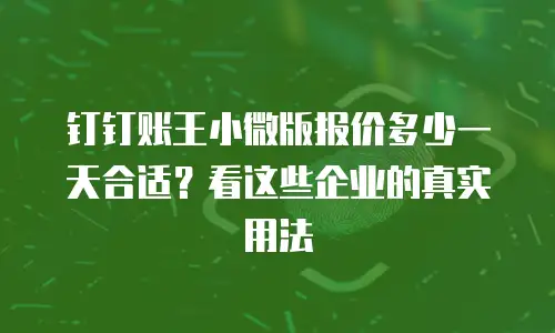 钉钉账王小微版报价多少一天合适？看这些企业的真实用法