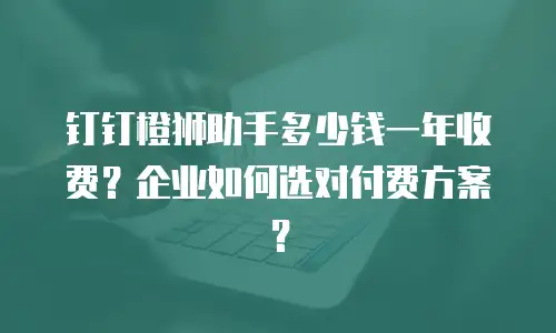 钉钉橙狮助手多少钱一年收费？企业如何选对付费方案？