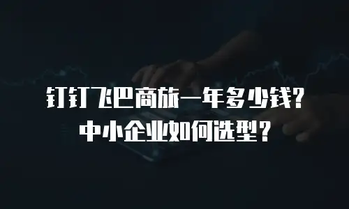 钉钉飞巴商旅一年多少钱？中小企业如何选型？