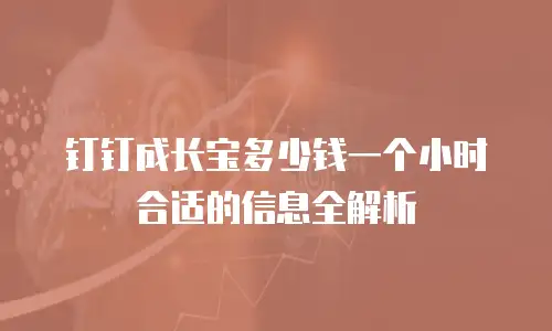 钉钉成长宝多少钱一个小时合适的信息全解析