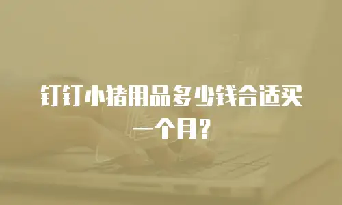 钉钉小猪用品多少钱合适买一个月？