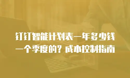 钉钉智能计划表一年多少钱一个季度的？成本控制指南