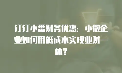 钉钉小番财务优惠：小微企业如何用低成本实现业财一体？