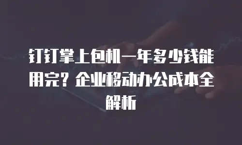 钉钉掌上包机一年多少钱能用完？企业移动办公成本全解析