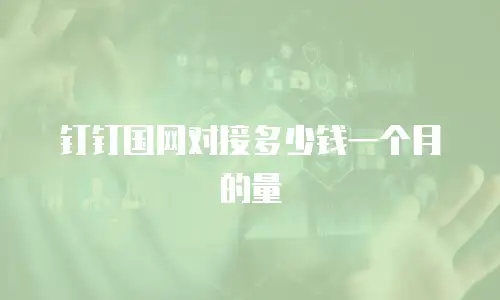 钉钉国网对接多少钱一个月的量