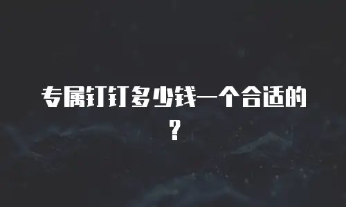 专属钉钉多少钱一个合适的？