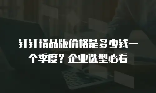 钉钉精品版价格是多少钱一个季度？企业选型必看