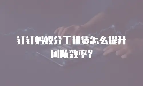 钉钉蚂蚁分工租赁怎么提升团队效率？