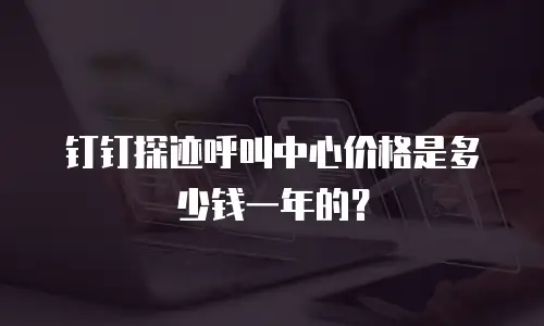 钉钉探迹呼叫中心价格是多少钱一年的？