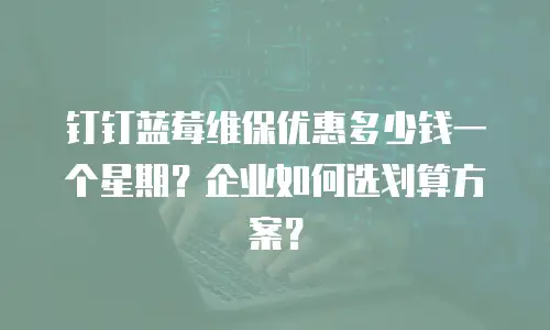 钉钉蓝莓维保优惠多少钱一个星期？企业如何选划算方案？
