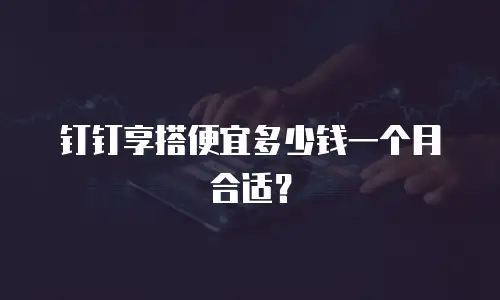 钉钉享搭便宜多少钱一个月合适？