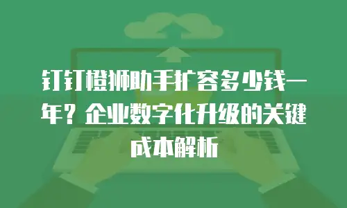 钉钉橙狮助手扩容多少钱一年？企业数字化升级的关键成本解析