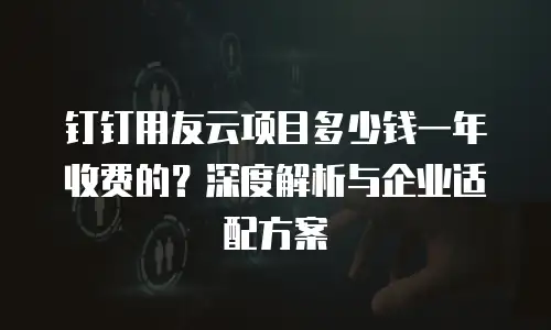 钉钉用友云项目多少钱一年收费的？深度解析与企业适配方案