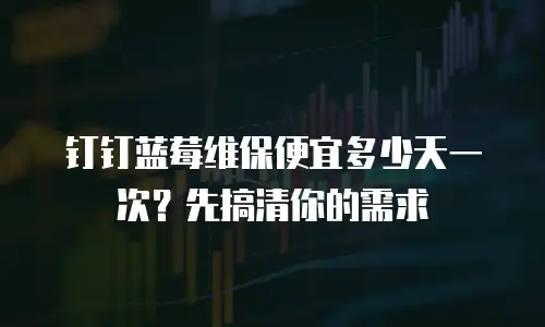 钉钉蓝莓维保便宜多少天一次？先搞清你的需求