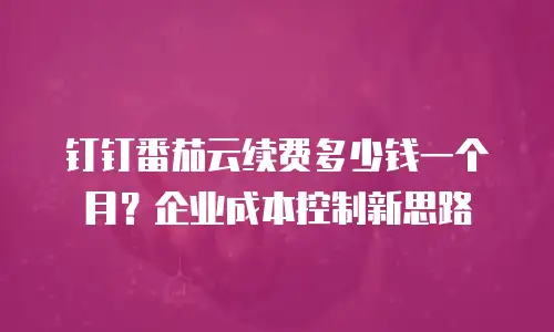 钉钉番茄云续费多少钱一个月？企业成本控制新思路