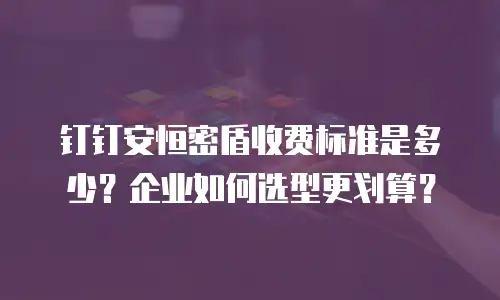 钉钉安恒密盾收费标准是多少？企业如何选型更划算？