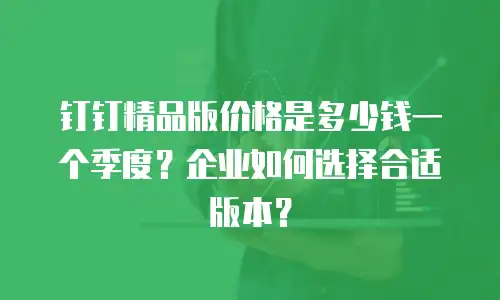 钉钉精品版价格是多少钱一个季度？企业如何选择合适版本？