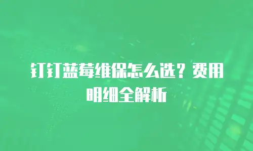 钉钉蓝莓维保怎么选？费用明细全解析