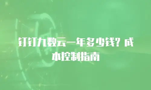 钉钉九数云一年多少钱？成本控制指南