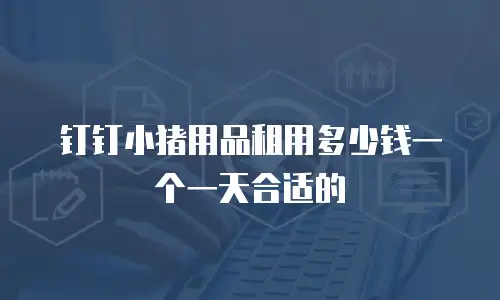 钉钉小猪用品租用多少钱一个一天合适的
