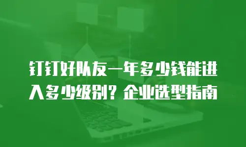 钉钉好队友一年多少钱能进入多少级别？企业选型指南