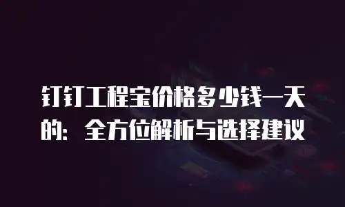钉钉工程宝价格多少钱一天的：全方位解析与选择建议