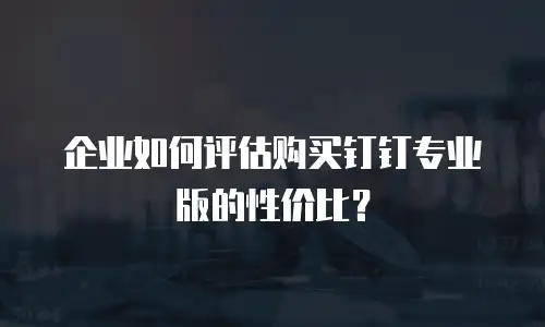 企业如何评估购买钉钉专业版的性价比？