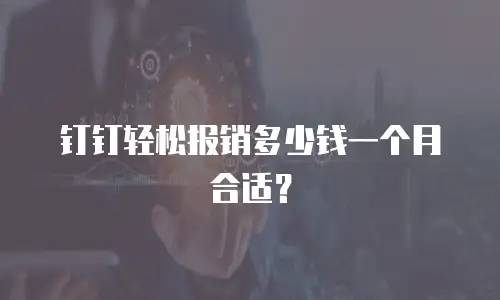 钉钉轻松报销多少钱一个月合适？