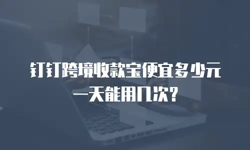 钉钉跨境收款宝便宜多少元一天能用几次？