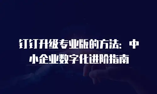 钉钉升级专业版的方法：中小企业数字化进阶指南