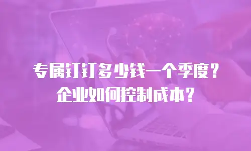 专属钉钉多少钱一个季度？企业如何控制成本？